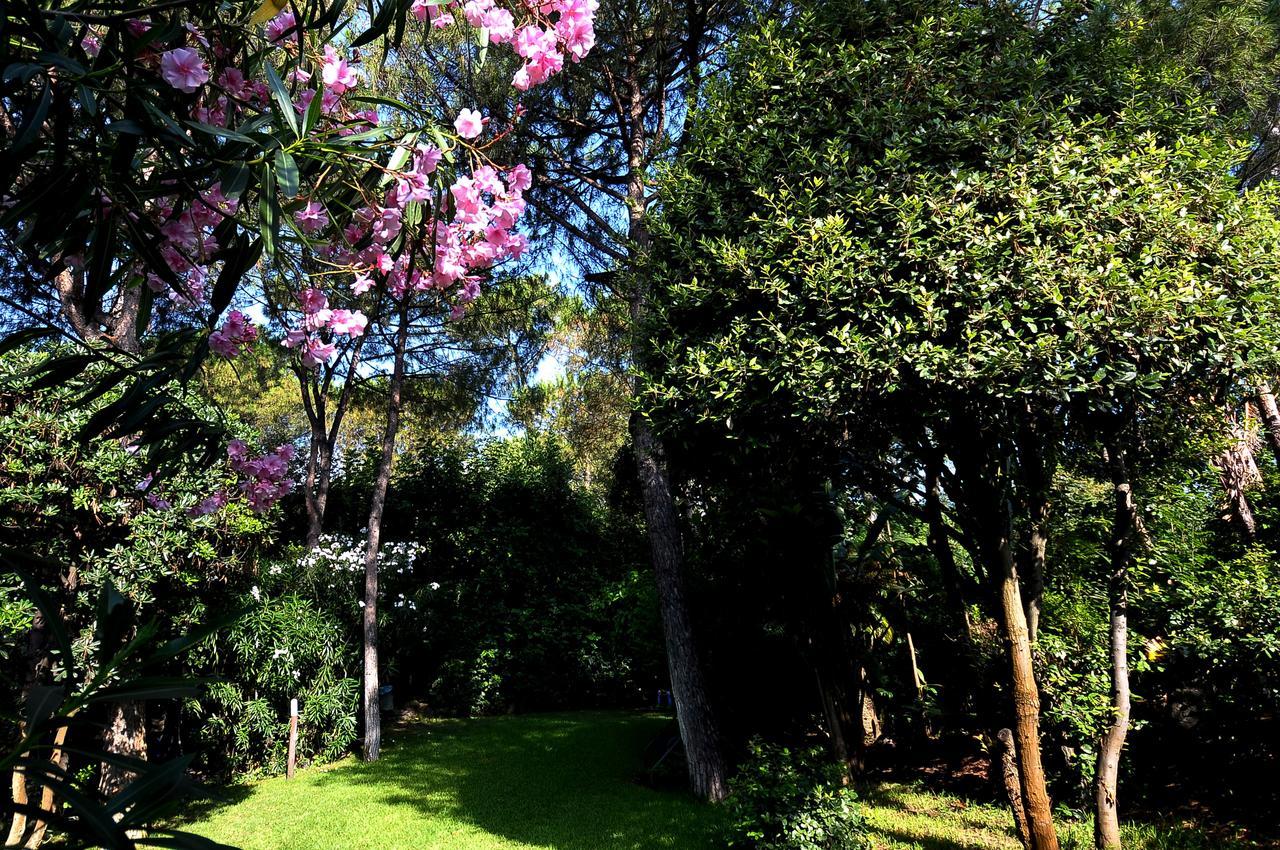 Punta Molino Beach Resort & Thermal Spa Isquia Exterior foto